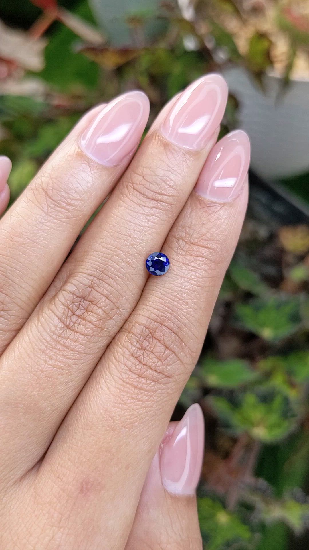 0.49 Ct. Blue Sapphire from Ceylon (Sri Lanka) Size Video