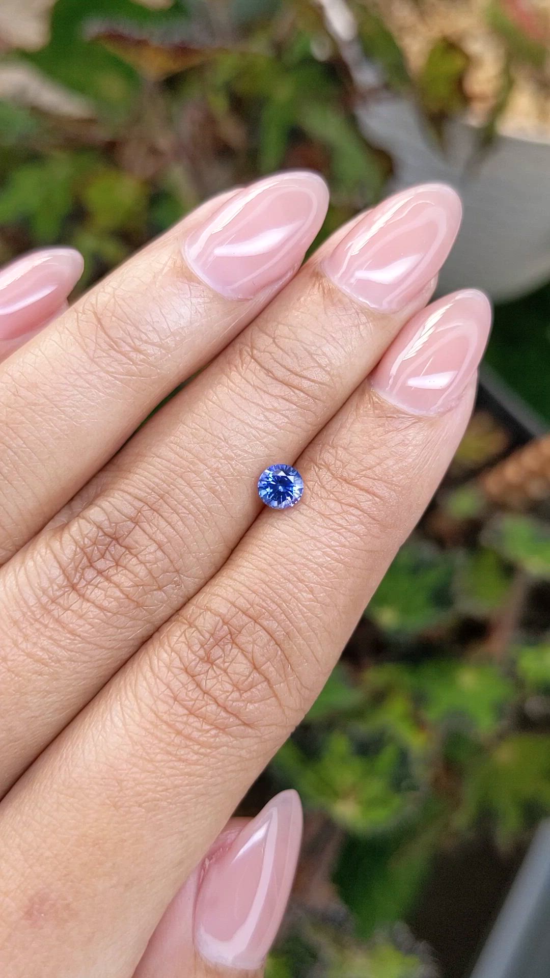 0.53 Ct. Blue Sapphire from Ceylon (Sri Lanka) Size Video