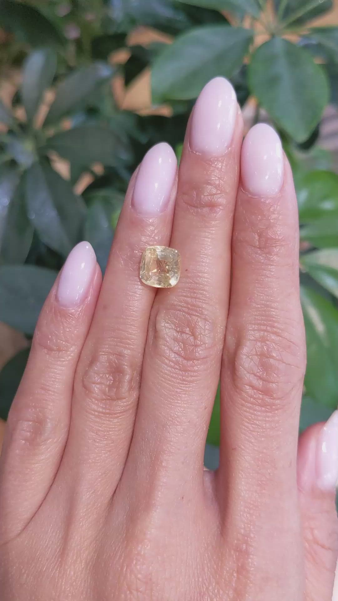 4.03 Ct. Yellow Sapphire from Ceylon (Sri Lanka) Size Video