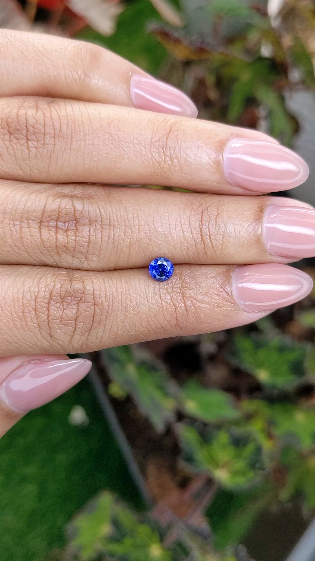 0.53 Ct. Blue Sapphire from Ceylon (Sri Lanka) Size Video