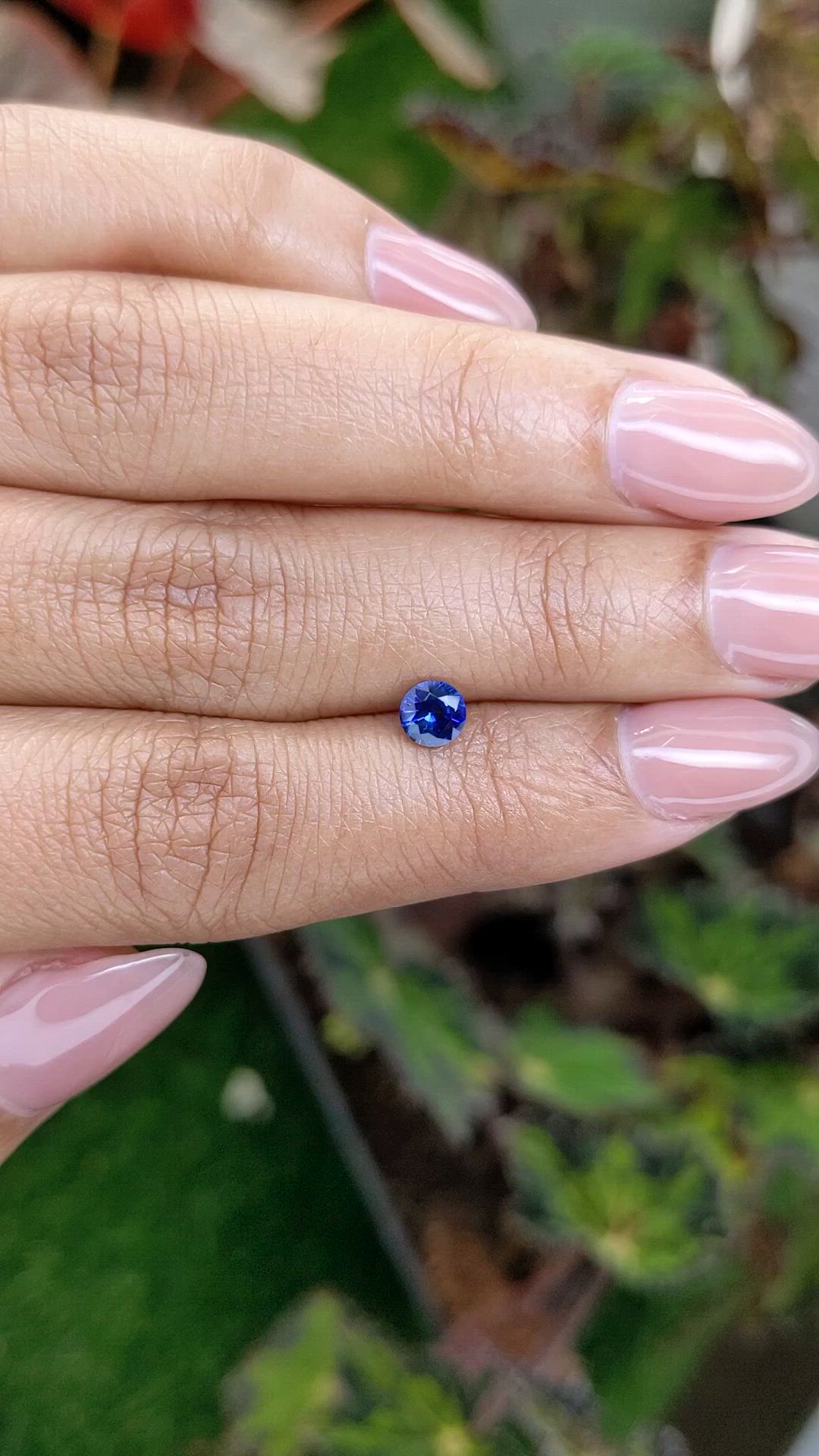 0.50 Ct. Blue Sapphire from Ceylon (Sri Lanka) Size Video