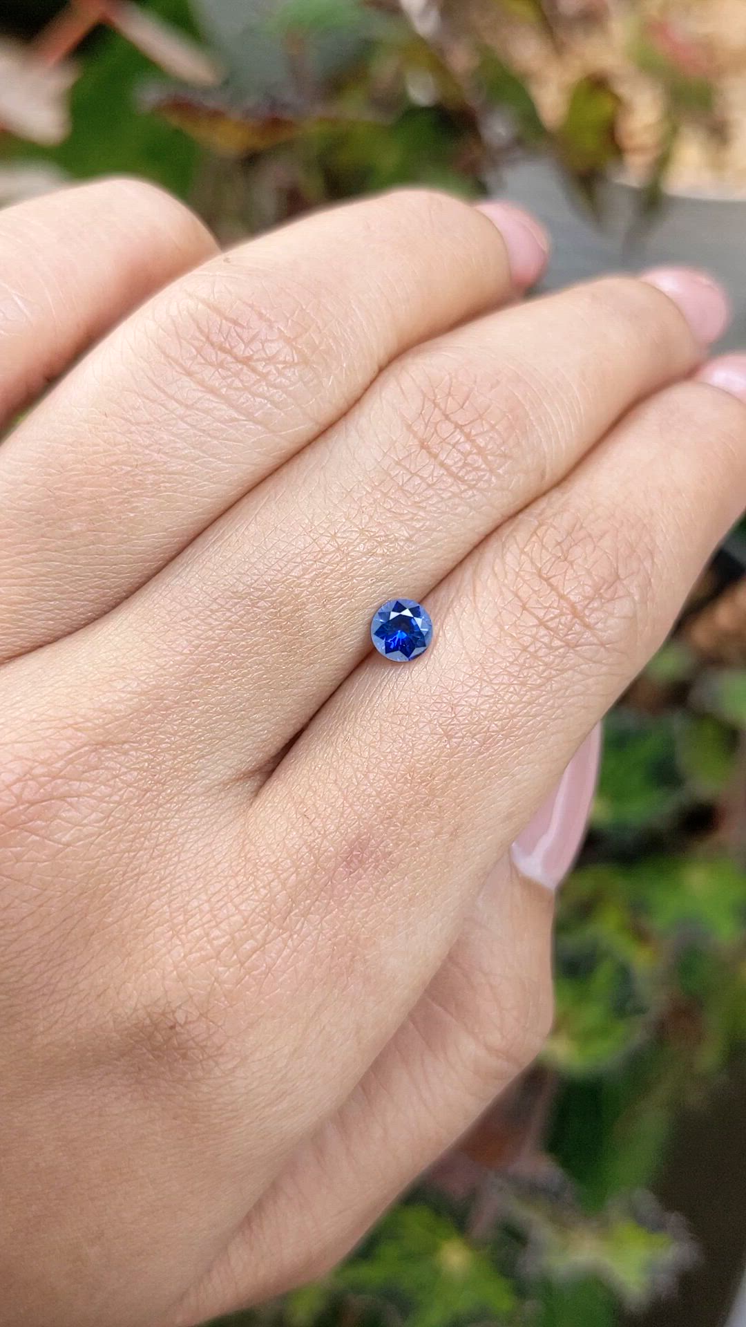 0.50 Ct. Blue Sapphire from Ceylon (Sri Lanka) Size Video