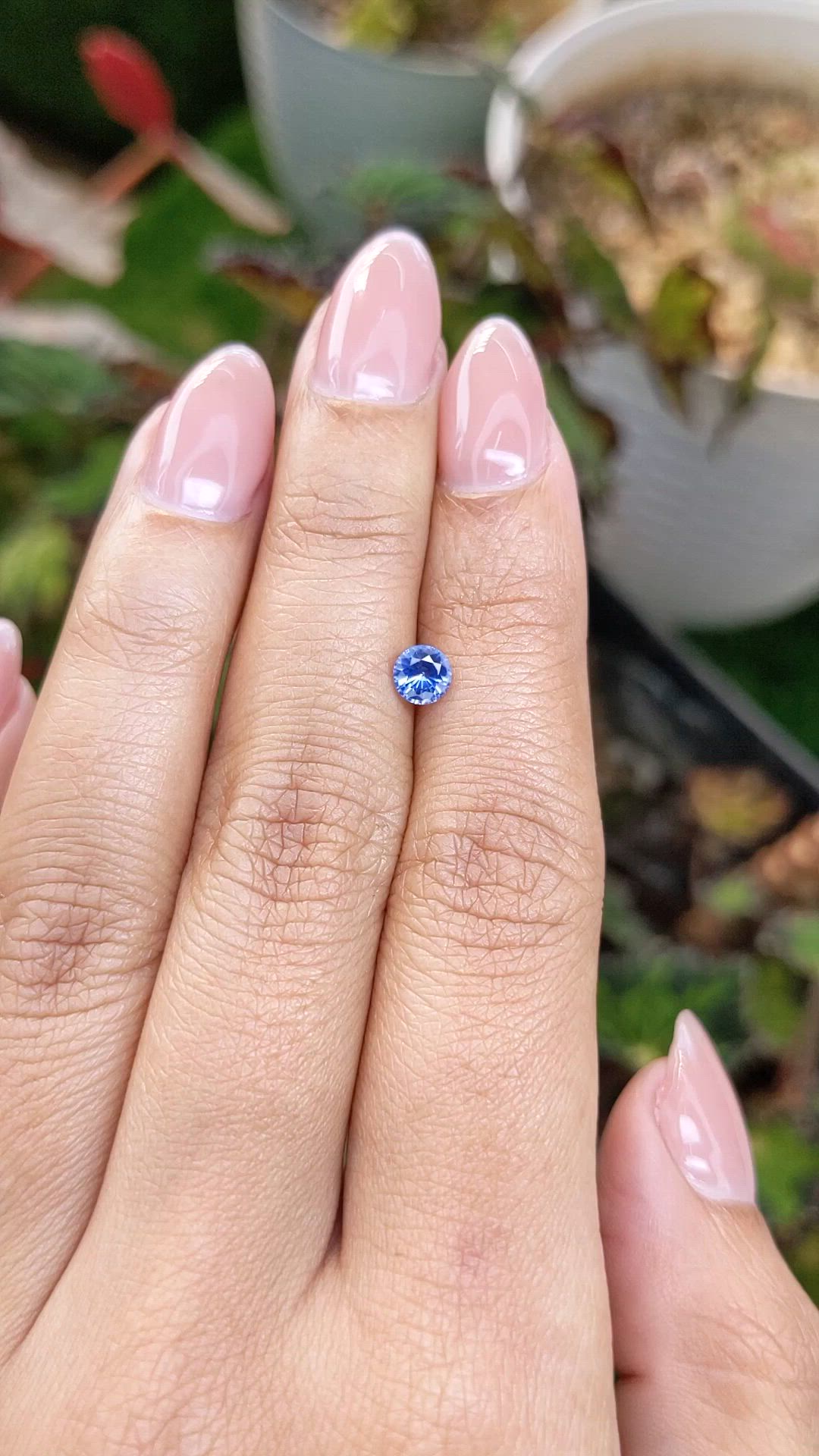 0.51 Ct. Blue Sapphire from Ceylon (Sri Lanka) Size Video