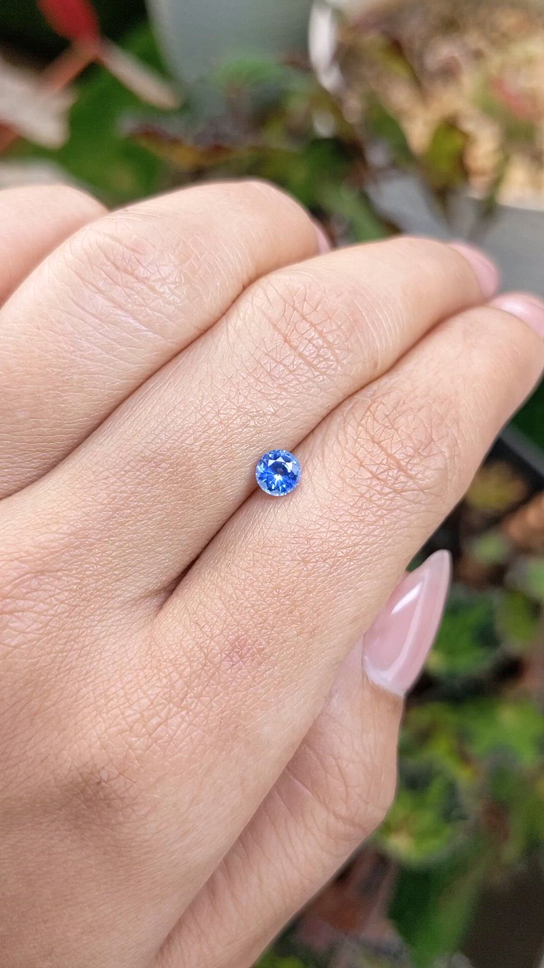 0.51 Ct. Blue Sapphire from Ceylon (Sri Lanka) Size Video