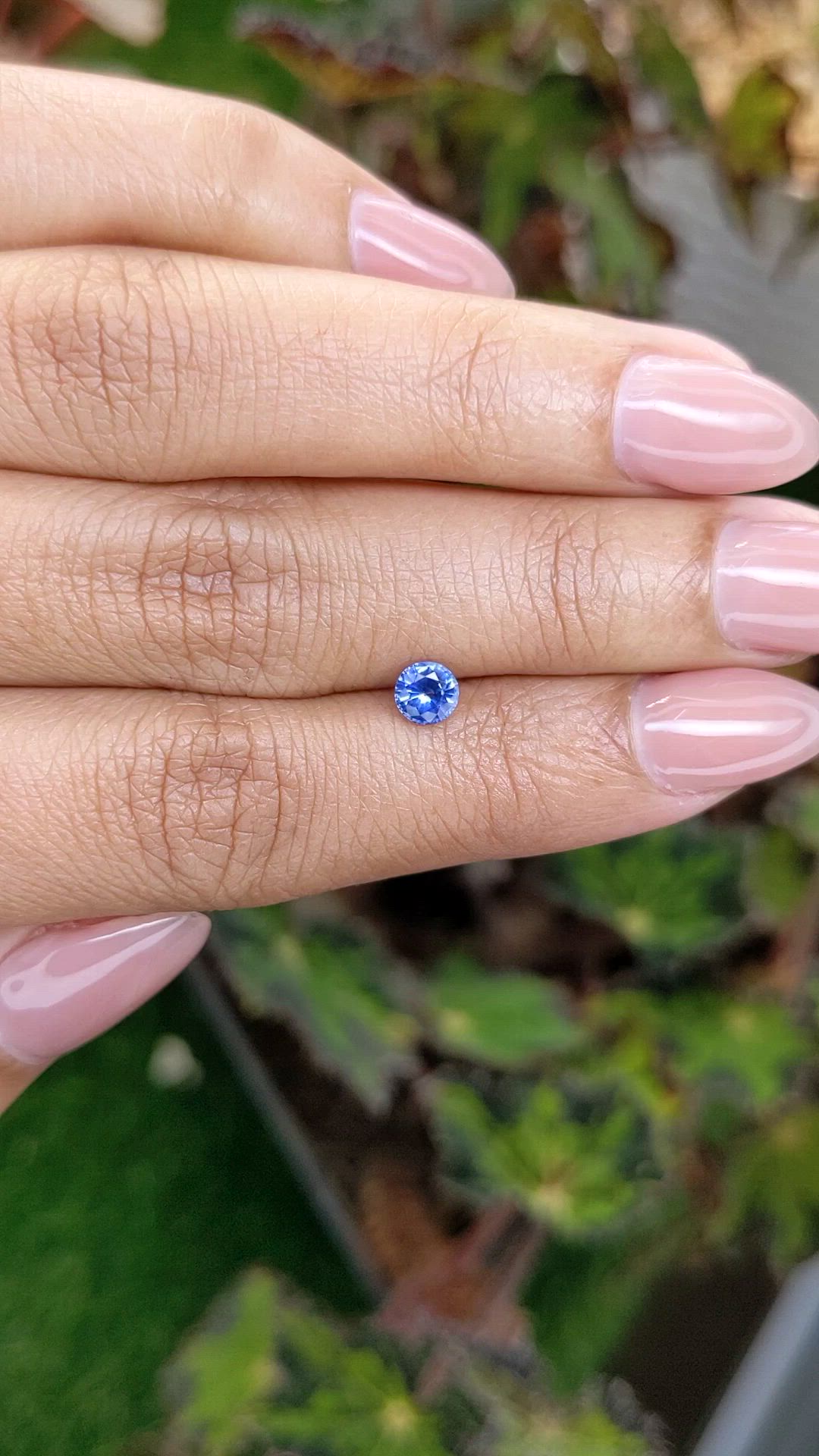 0.51 Ct. Blue Sapphire from Ceylon (Sri Lanka) Size Video