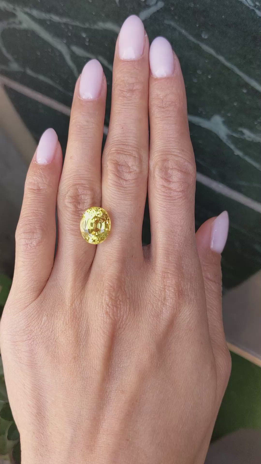 9.73 Ct. Yellow Sapphire from Ceylon (Sri Lanka) Size Video