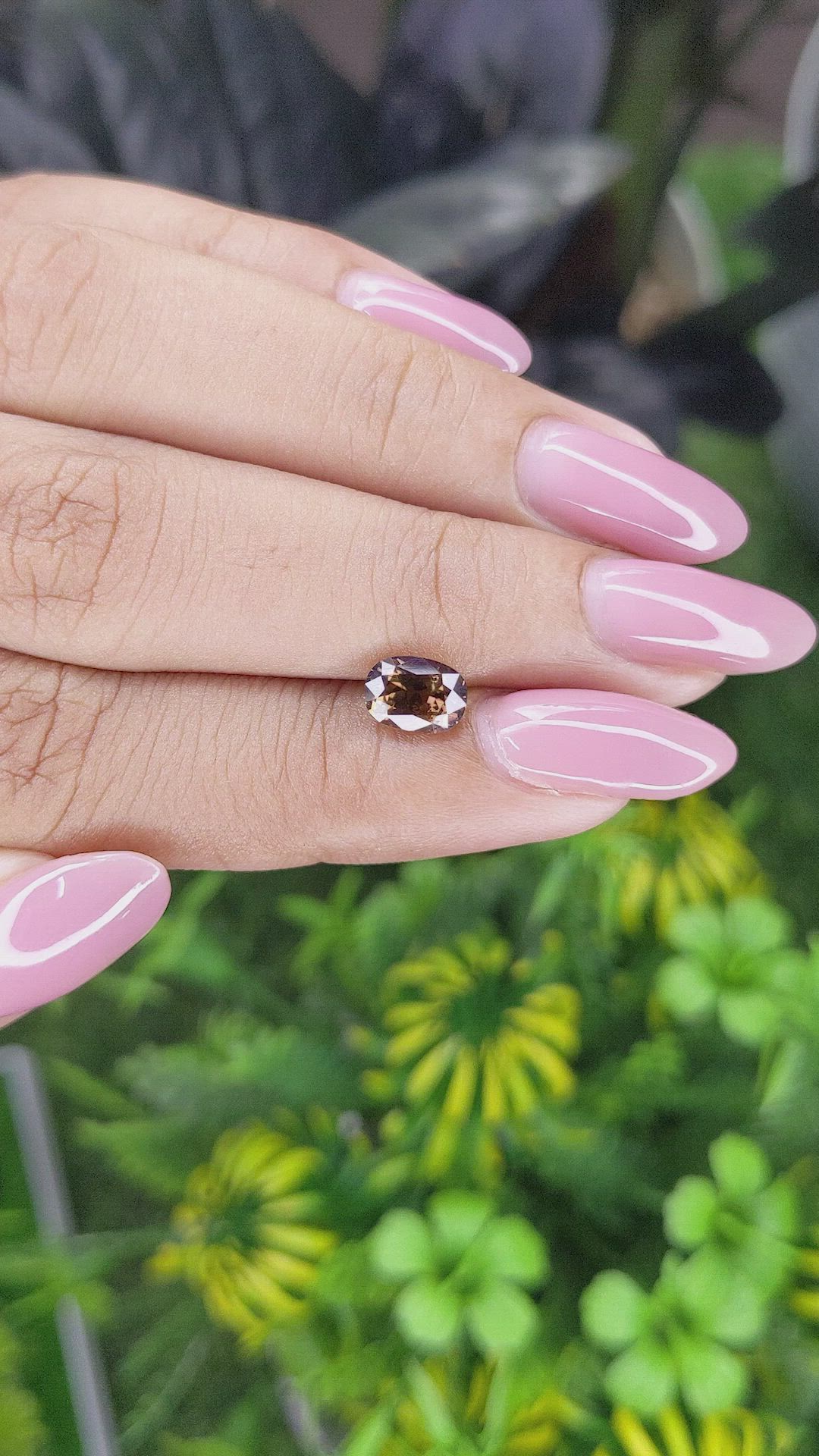 1.37 Ct. Orangish Brown Sapphire from Ceylon (Sri Lanka) Size Video