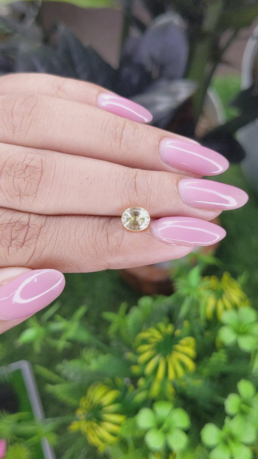 1.32 Ct. Yellow Sapphire from Ceylon (Sri Lanka) Size Video