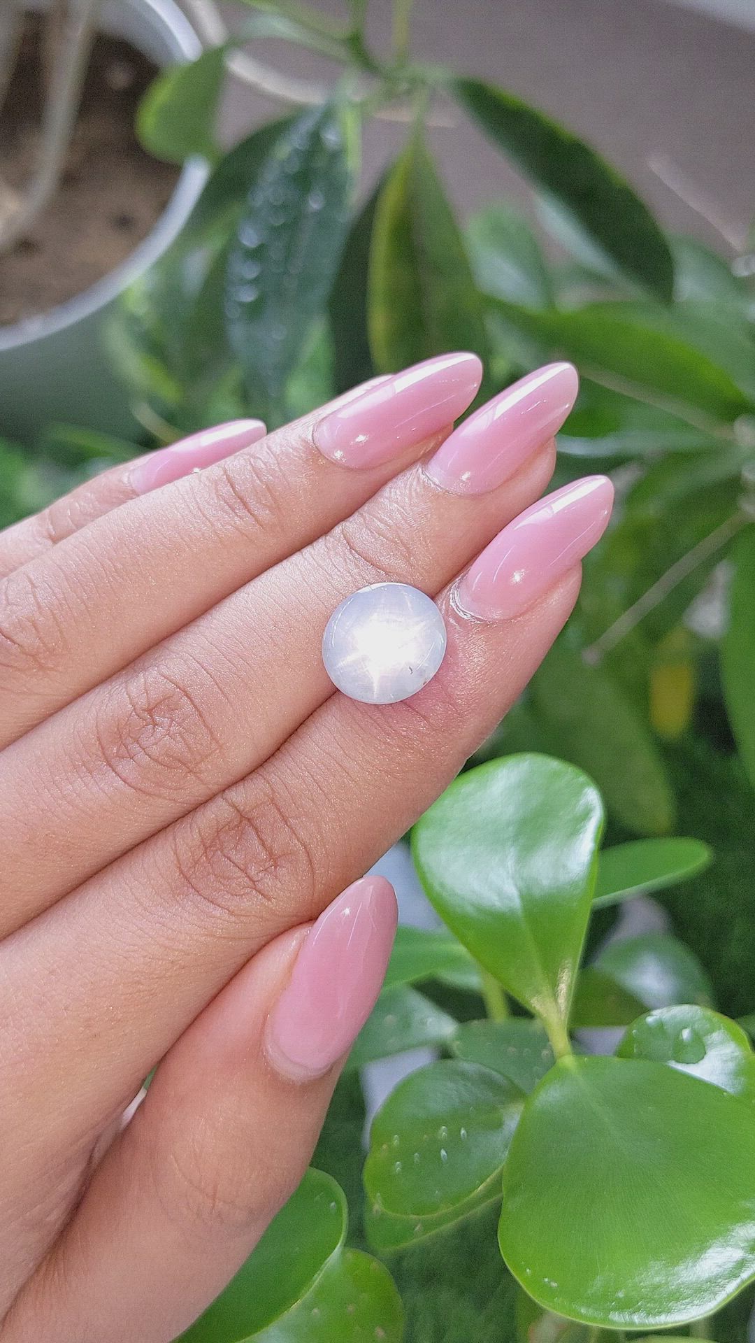 7.35 Ct. Grey Star Sapphire from Ceylon (Sri Lanka) Size Video