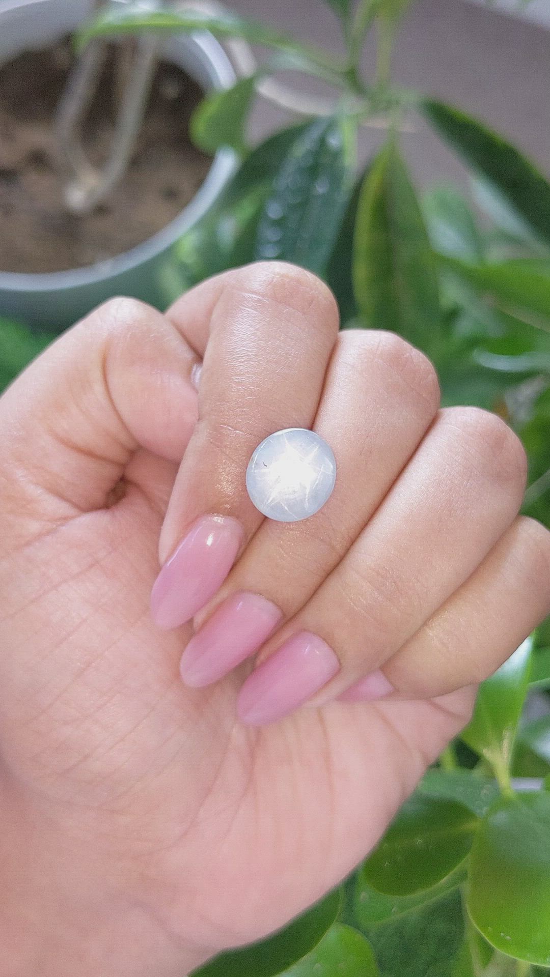 7.35 Ct. Grey Star Sapphire from Ceylon (Sri Lanka) Size Video