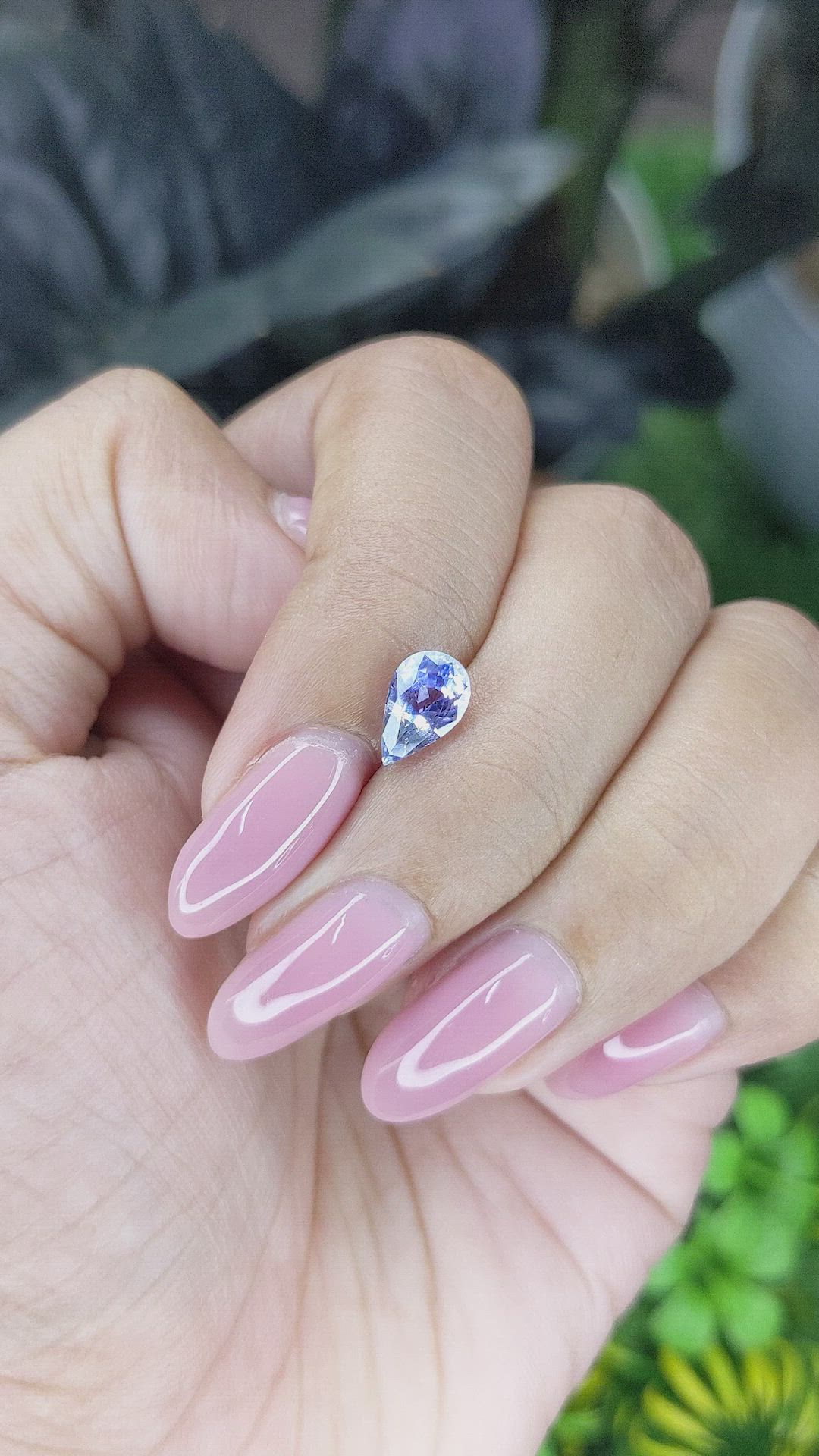 1.35 Ct. Bi Color / Parti Sapphire from Ceylon (Sri Lanka) Size Video