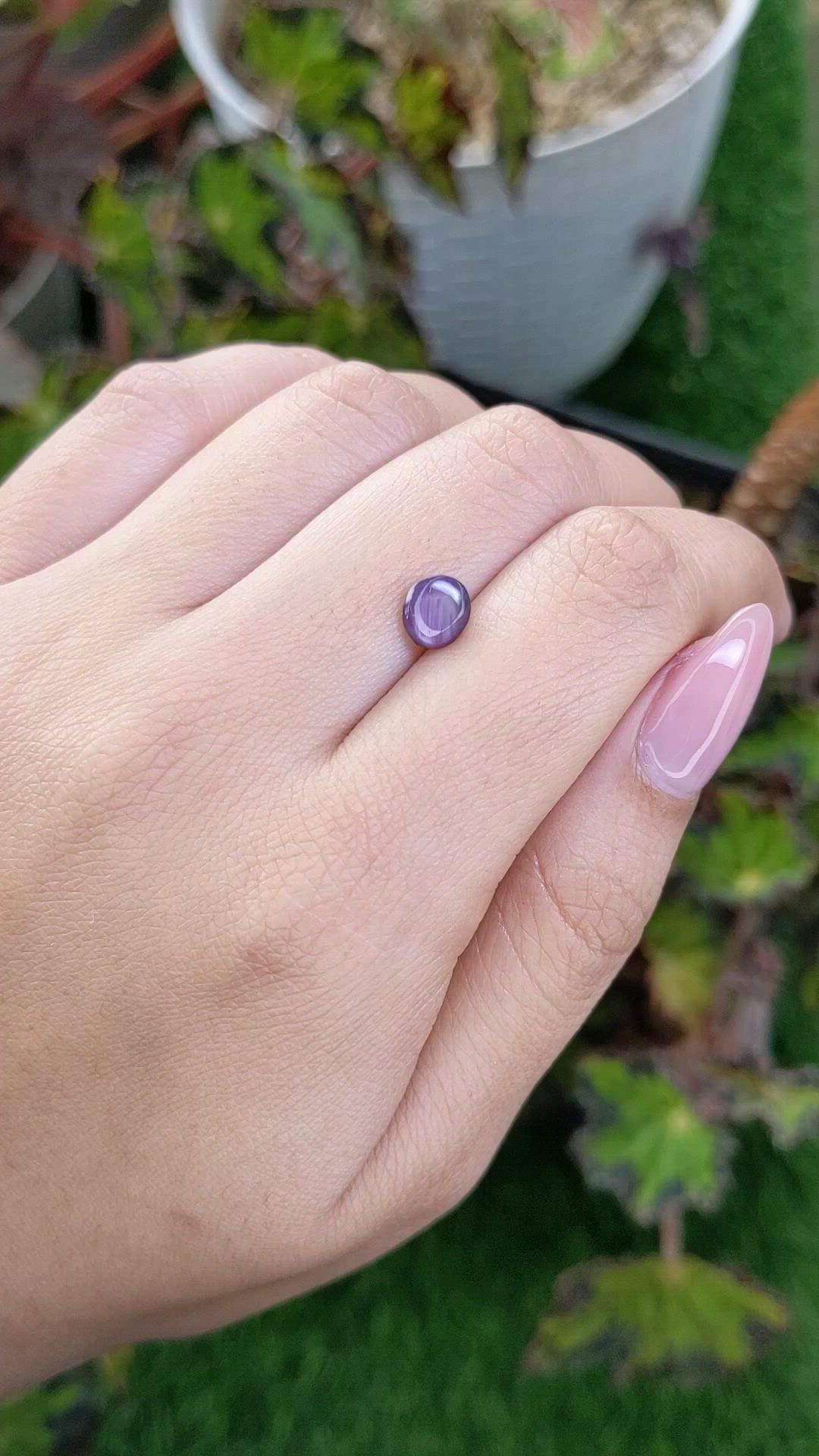 1.55 Ct. Purple Star Sapphire from Ceylon (Sri Lanka) Size Video