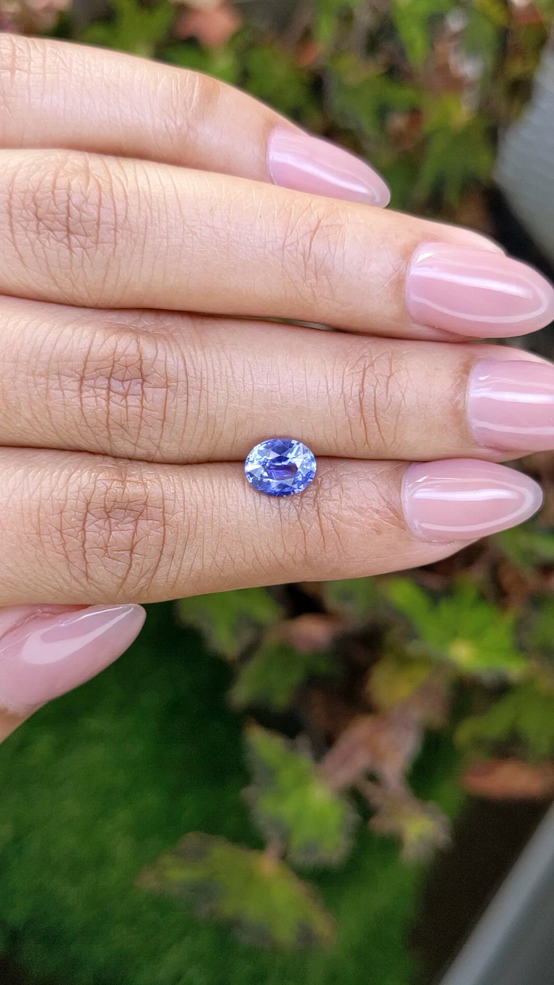 1.45 Ct. Blue Sapphire from Ceylon (Sri Lanka) Size Video