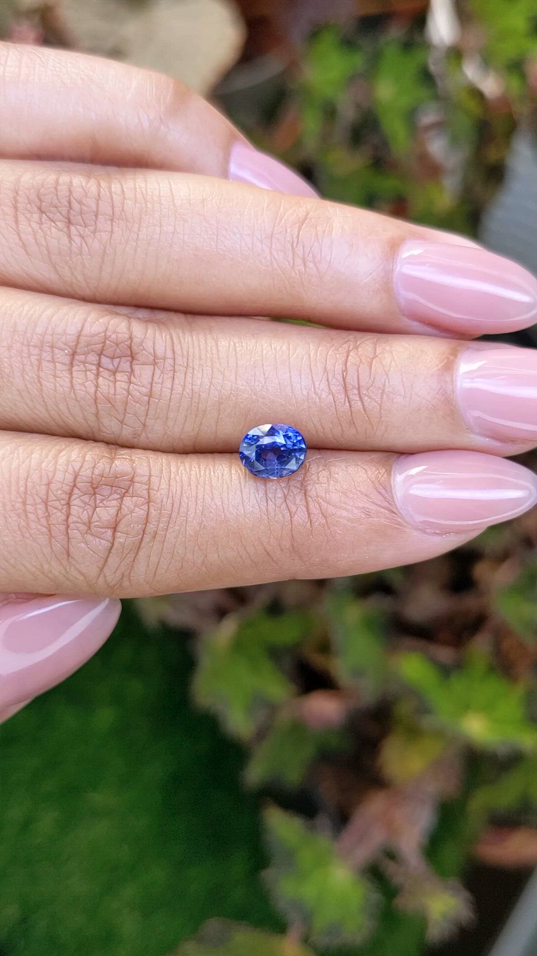 1.70 Ct. Blue Sapphire from Ceylon (Sri Lanka) Size Video