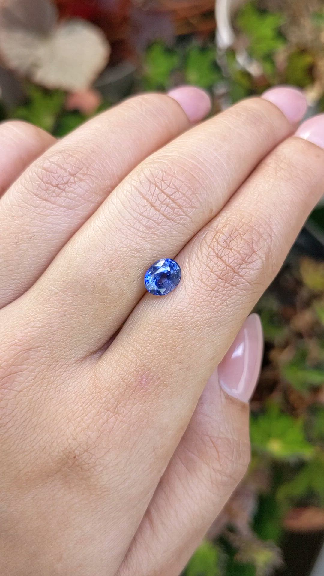1.70 Ct. Blue Sapphire from Ceylon (Sri Lanka) Size Video