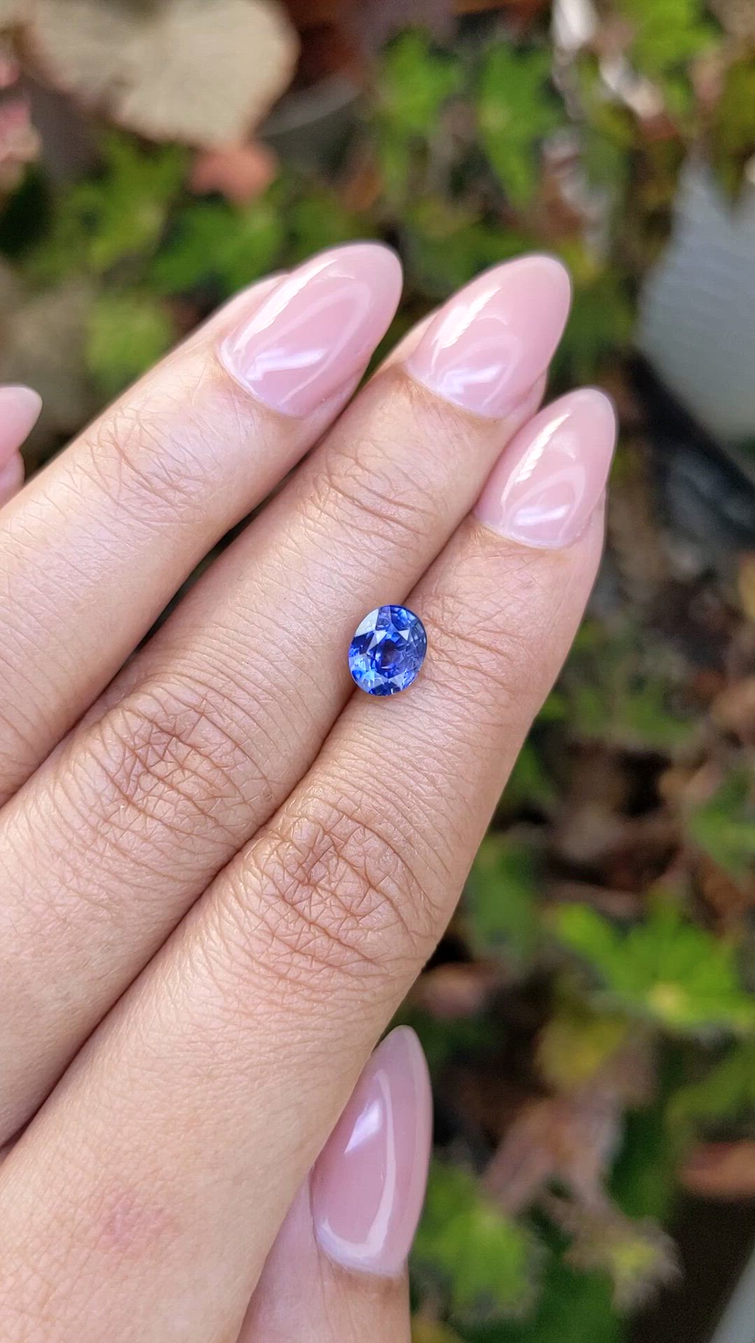 1.70 Ct. Blue Sapphire from Ceylon (Sri Lanka) Size Video