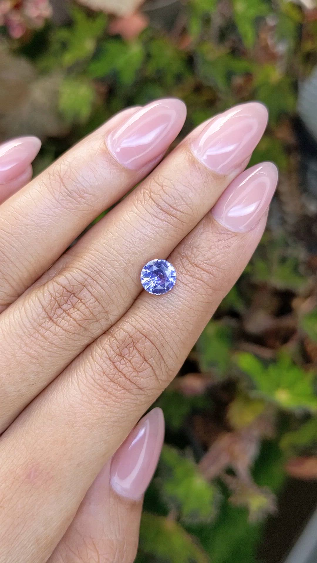 1.50 Ct. Violet Sapphire from Ceylon (Sri Lanka) Size Video