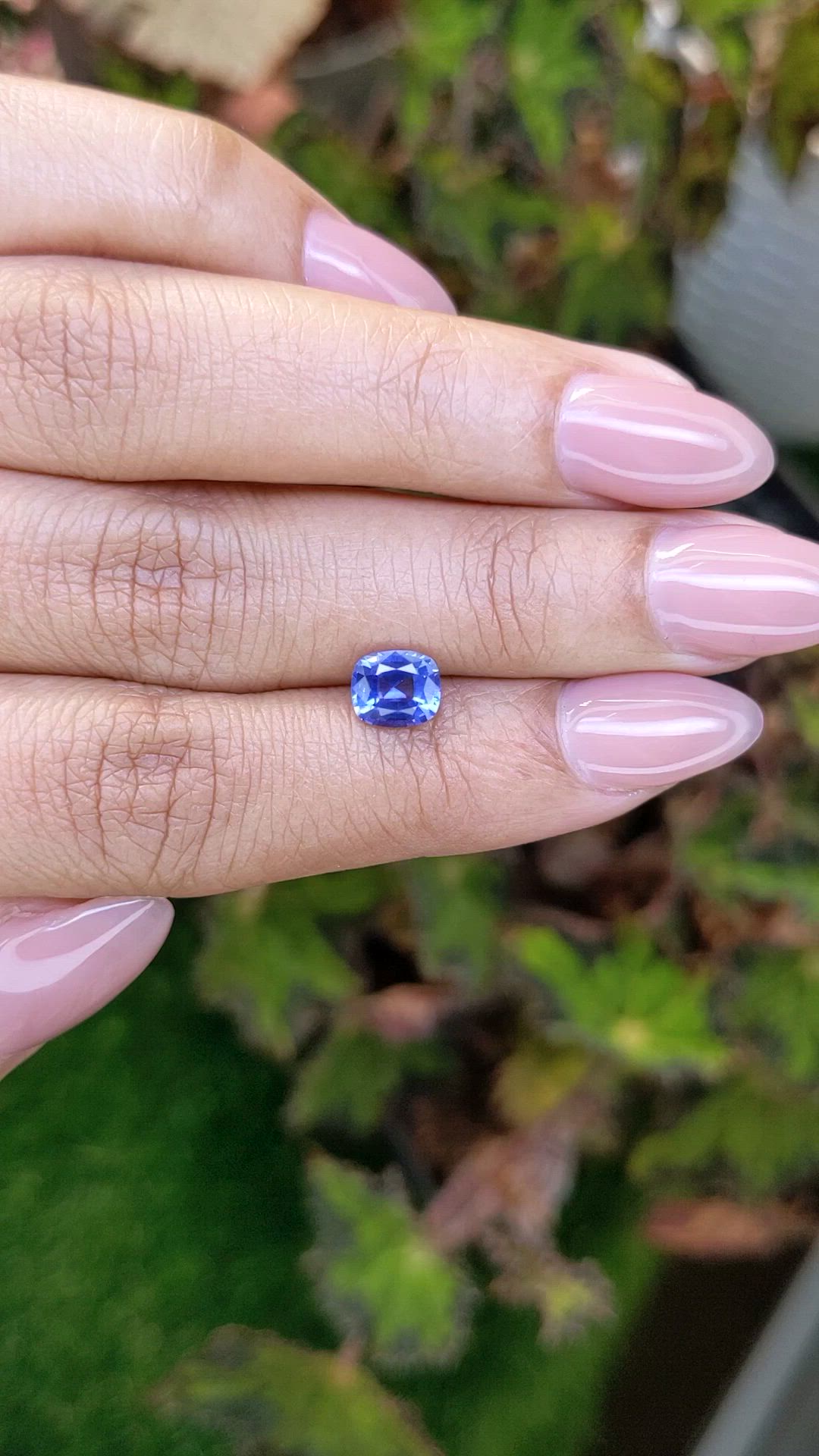 1.24 Ct. Blue Sapphire from Ceylon (Sri Lanka) Size Video
