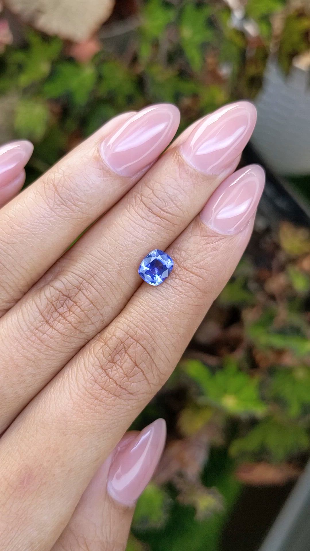1.24 Ct. Blue Sapphire from Ceylon (Sri Lanka) Size Video