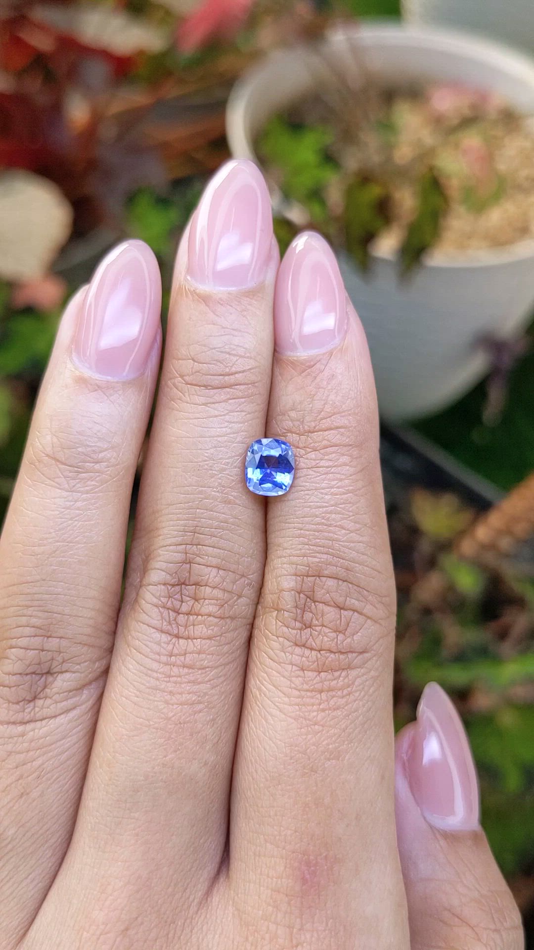 1.24 Ct. Blue Sapphire from Ceylon (Sri Lanka) Size Video