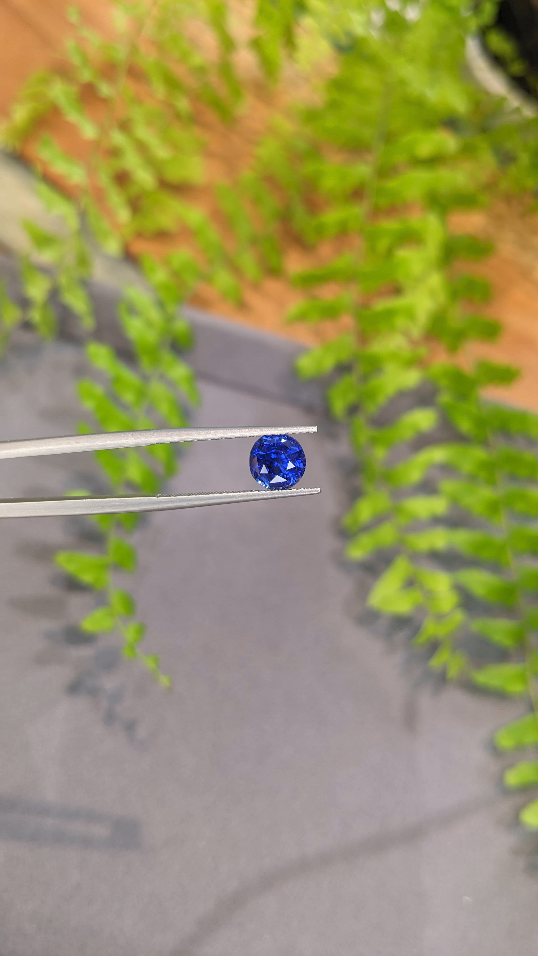 2.51 Ct. Blue Sapphire from Ceylon (Sri Lanka) Size Video