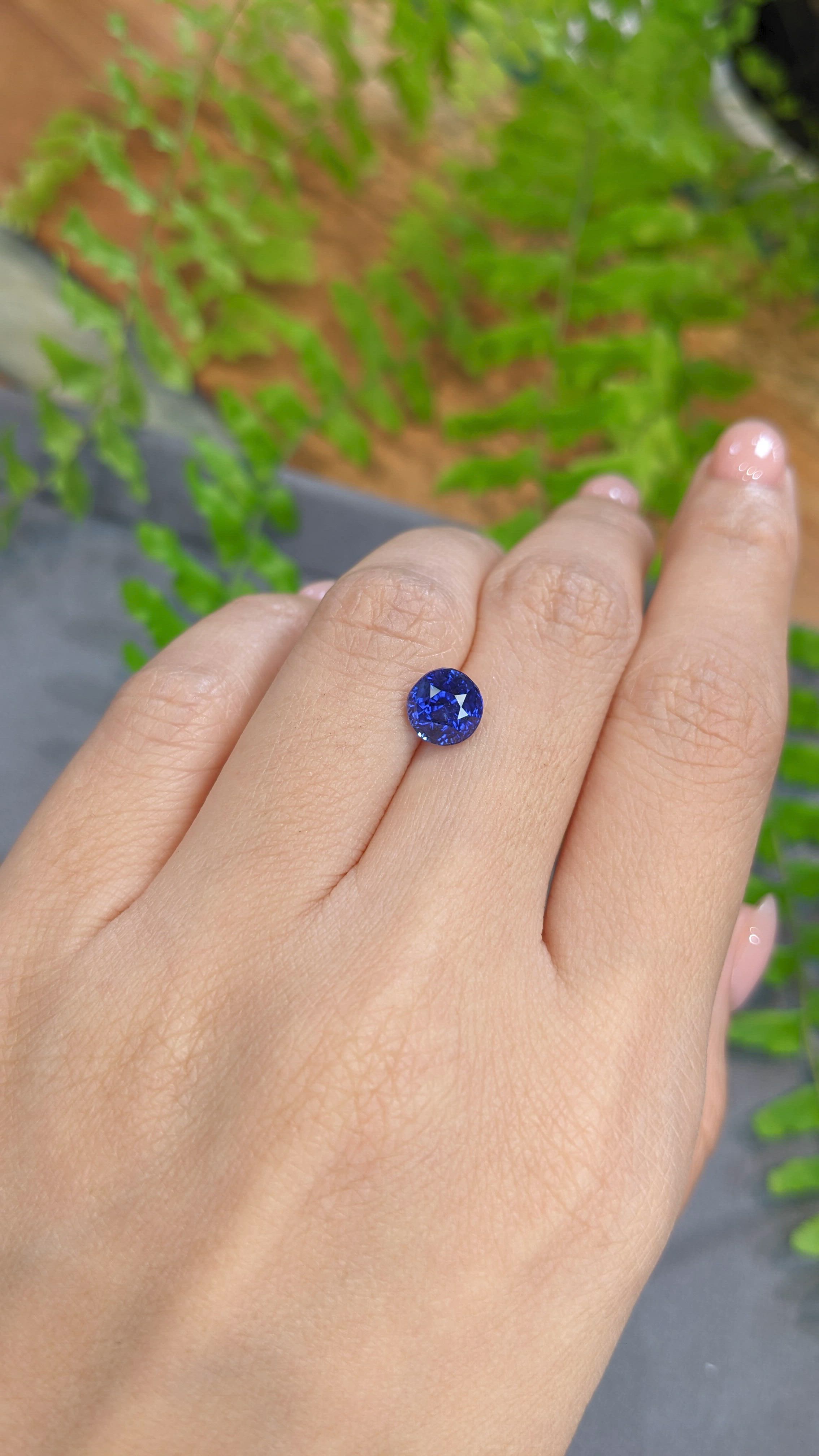 2.51 Ct. Blue Sapphire from Ceylon (Sri Lanka) Size Video
