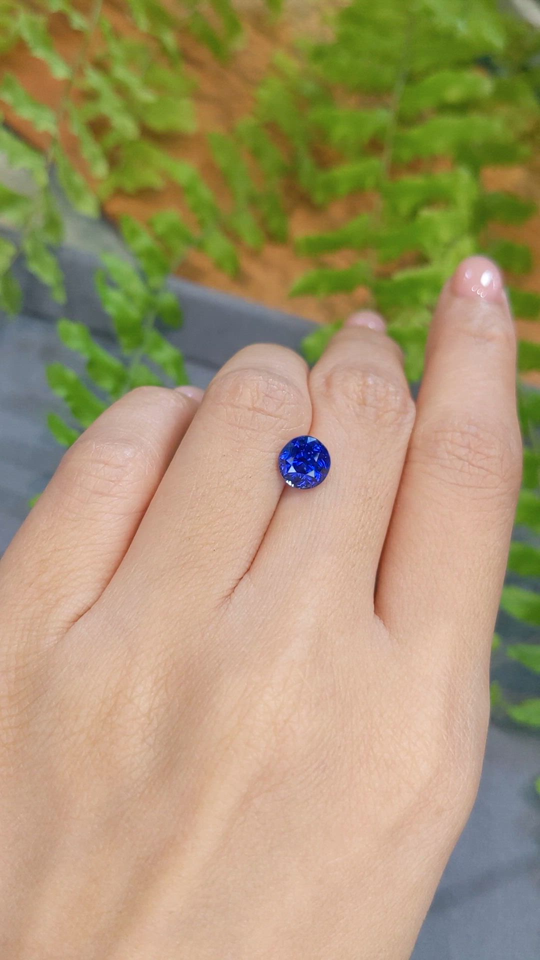 2.51 Ct. Blue Sapphire from Ceylon (Sri Lanka) Size Video