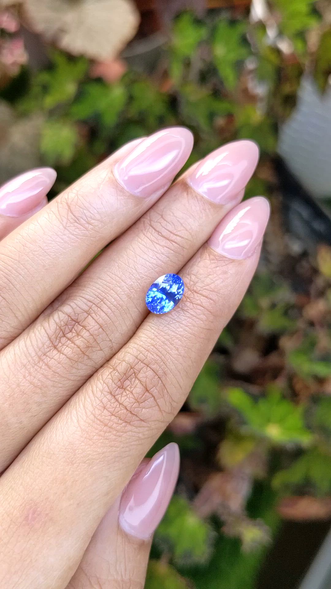 2.45 Ct. Blue Sapphire from Ceylon (Sri Lanka) Size Video