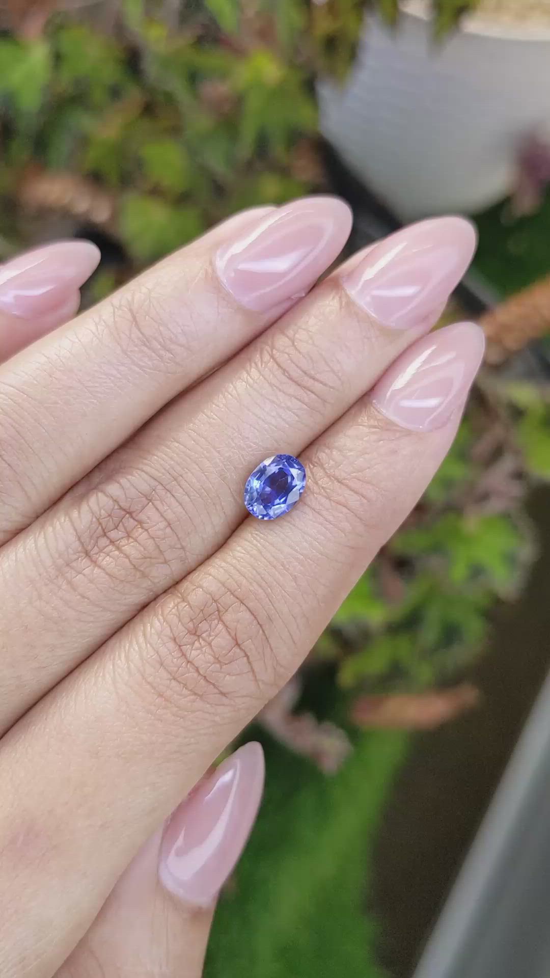 1.64 Ct. Blue Sapphire from Ceylon (Sri Lanka) Size Video