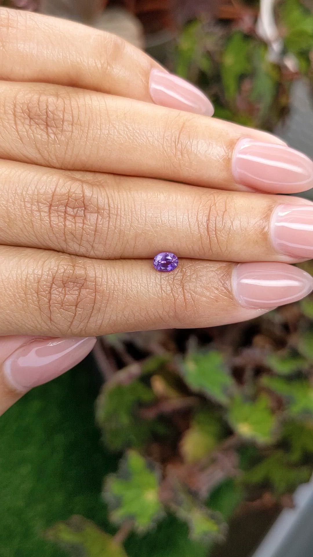 0.44 Ct. Purple Sapphire from Ceylon (Sri Lanka) Size Video