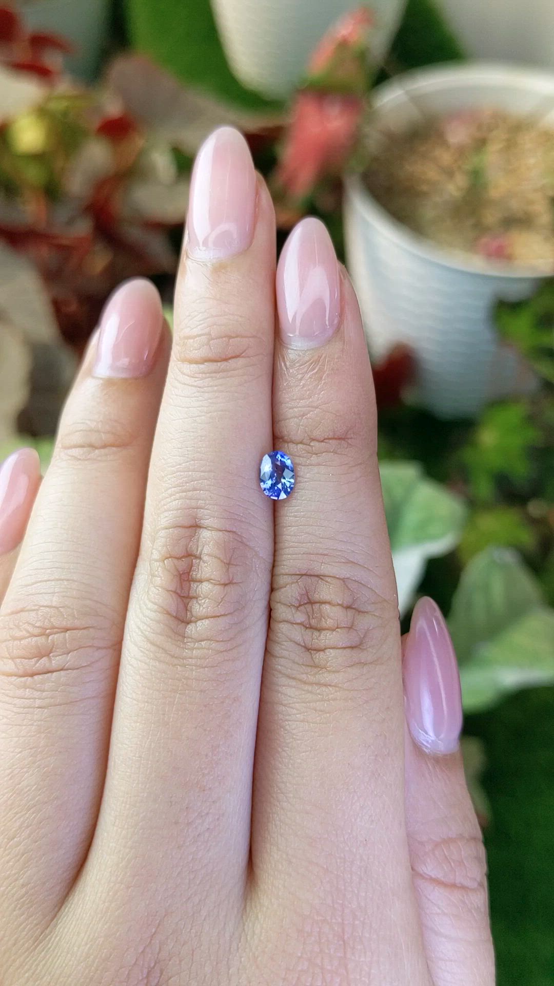 0.50 Ct. Blue Sapphire from Ceylon (Sri Lanka) Size Video