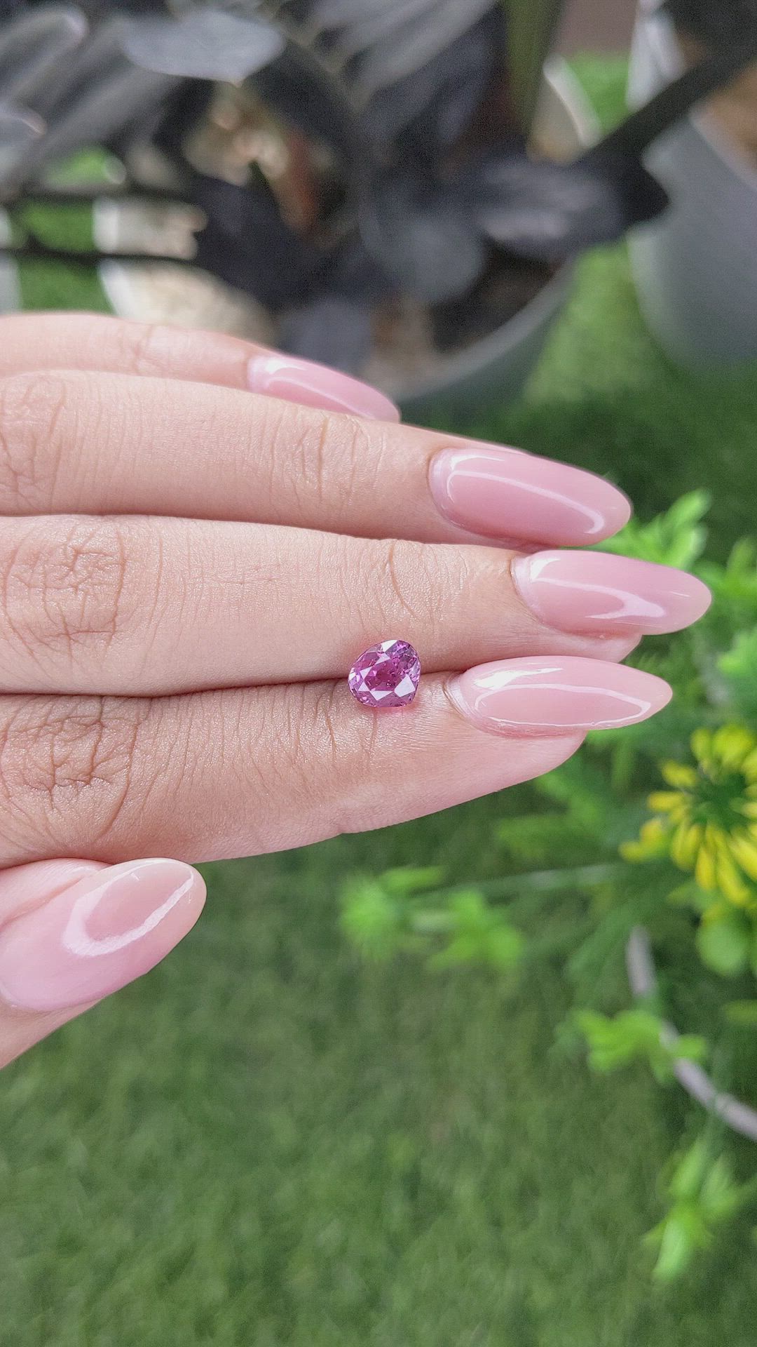1.30 Ct. Purplish Pink Sapphire from Ceylon (Sri Lanka) Size Video