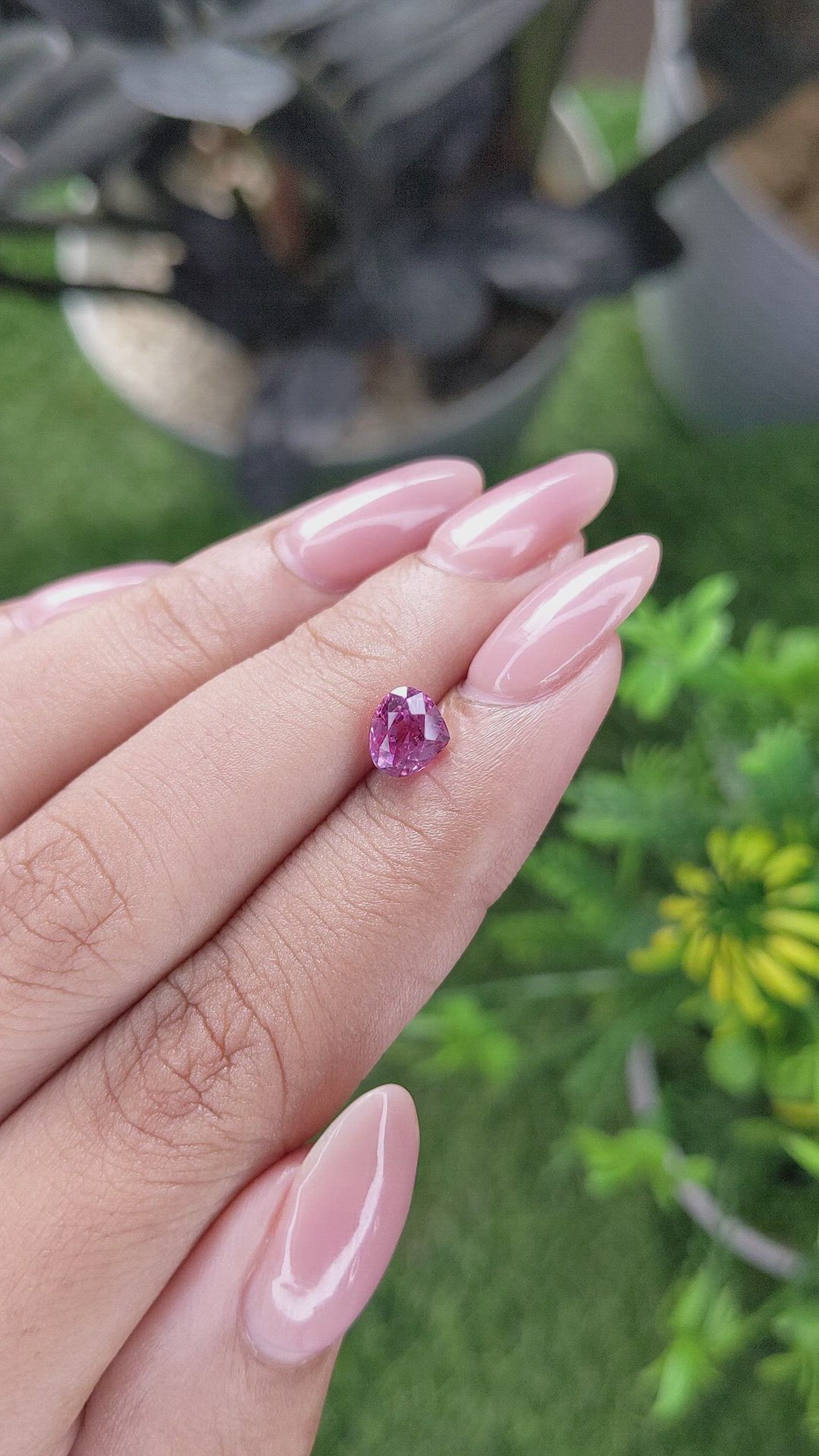 1.30 Ct. Purplish Pink Sapphire from Ceylon (Sri Lanka) Size Video