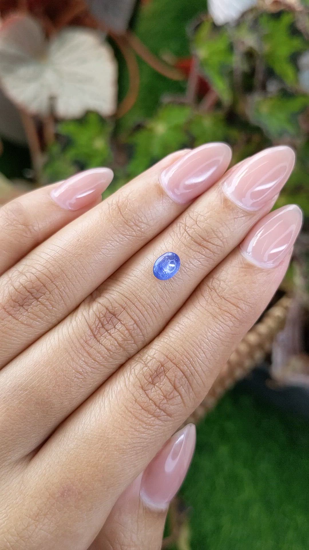 0.97 Ct. Blue Cabochon Sapphire from Ceylon (Sri Lanka) Size Video