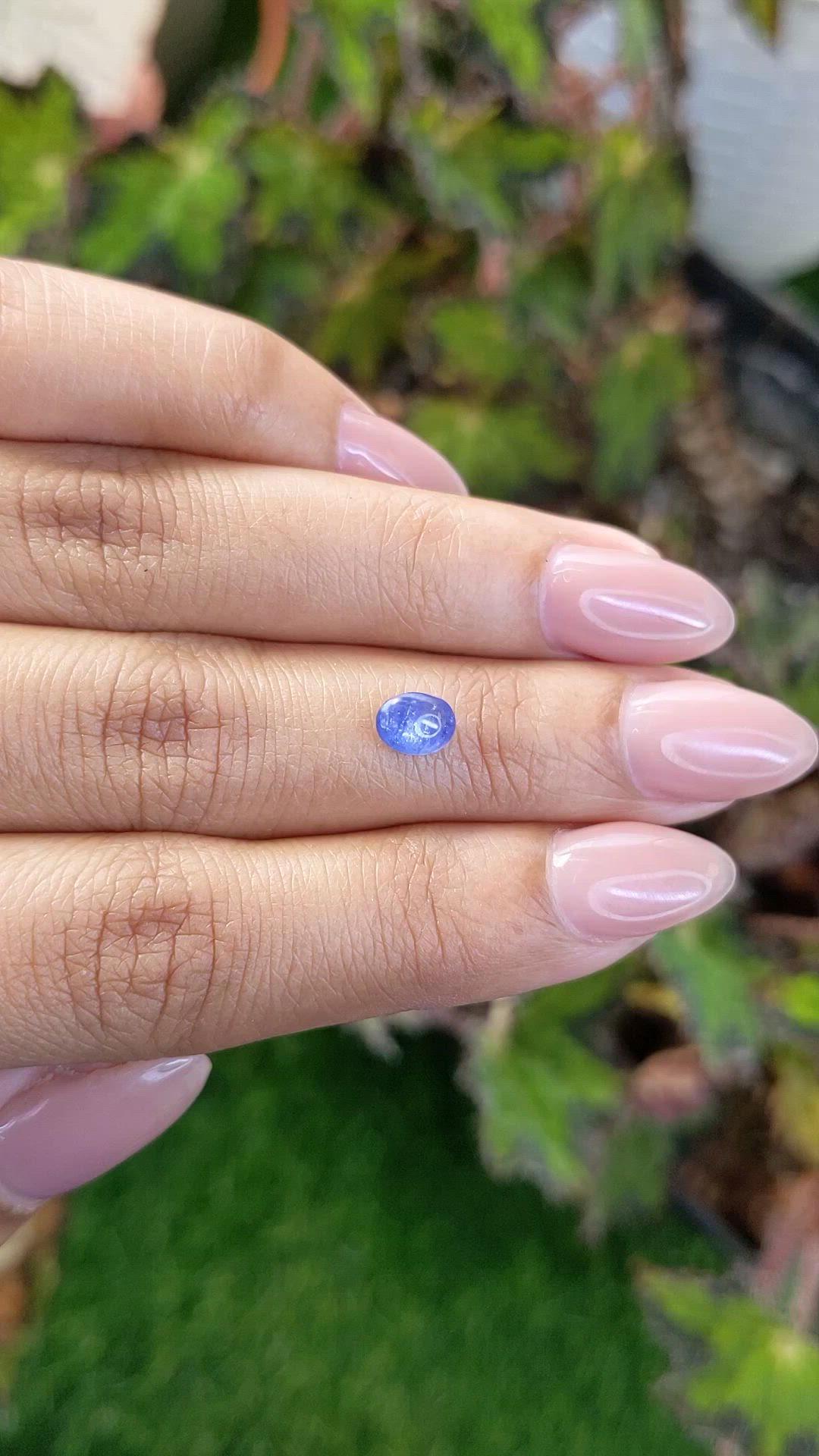 0.97 Ct. Blue Cabochon Sapphire from Ceylon (Sri Lanka) Size Video