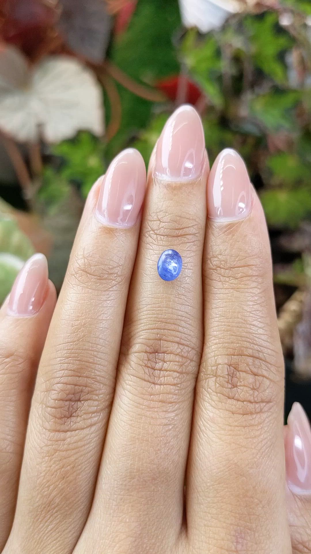 0.97 Ct. Blue Cabochon Sapphire from Ceylon (Sri Lanka) Size Video