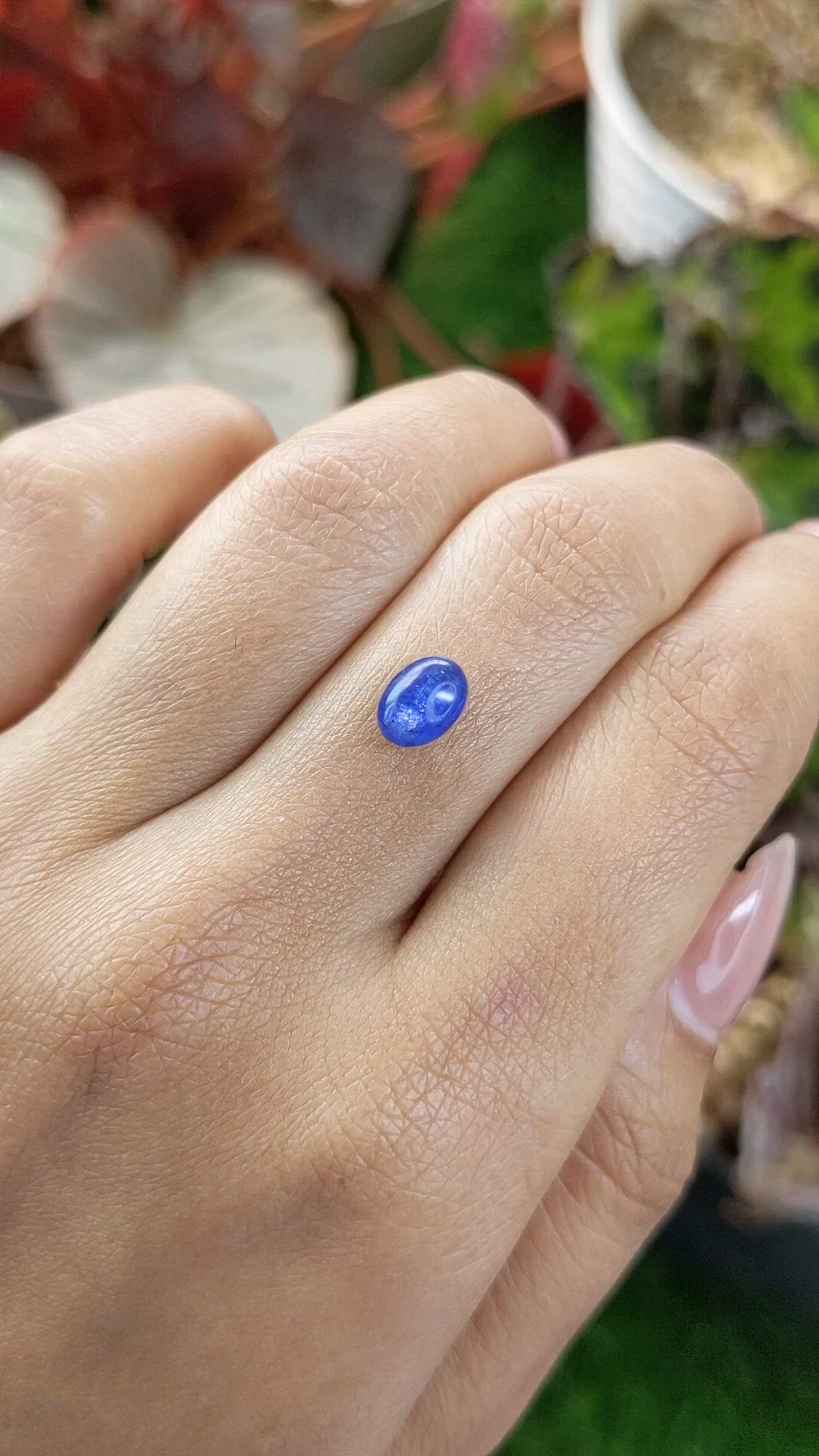 1.58 Ct. Blue Cabochon Sapphire from Ceylon (Sri Lanka) Size Video