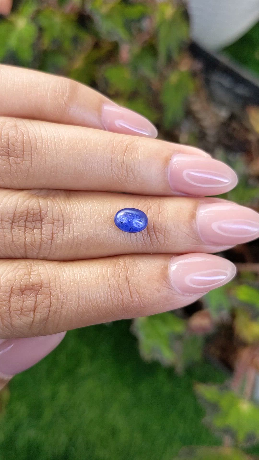 1.58 Ct. Blue Cabochon Sapphire from Ceylon (Sri Lanka) Size Video