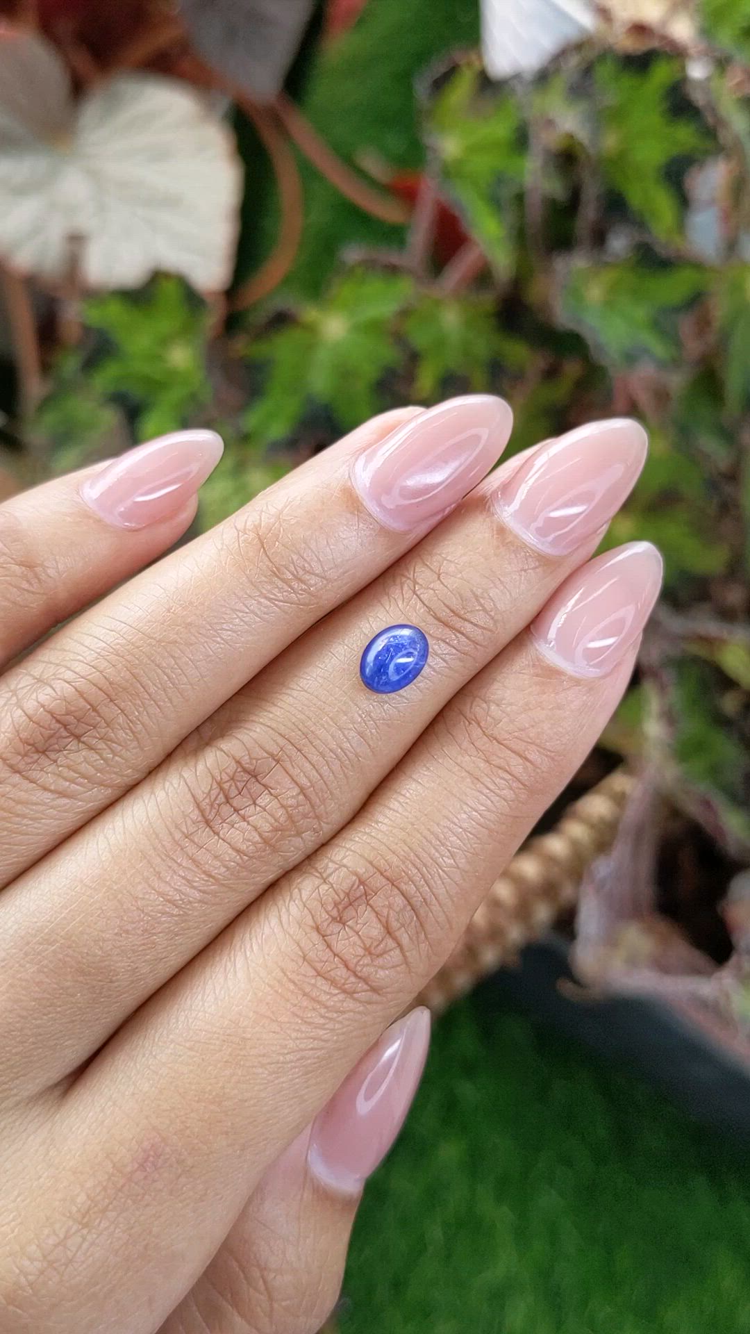 1.58 Ct. Blue Cabochon Sapphire from Ceylon (Sri Lanka) Size Video
