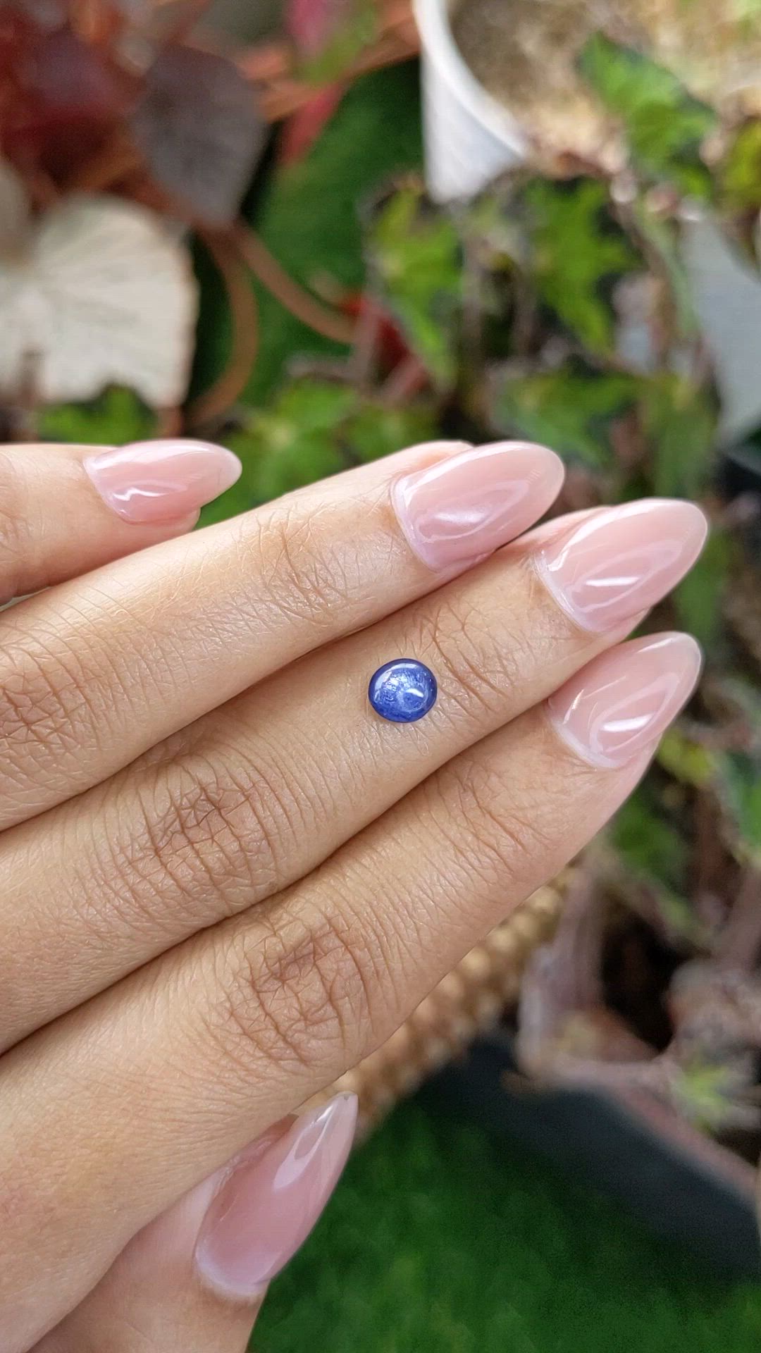 0.88 Ct. Blue Cabochon Sapphire from Ceylon (Sri Lanka) Size Video