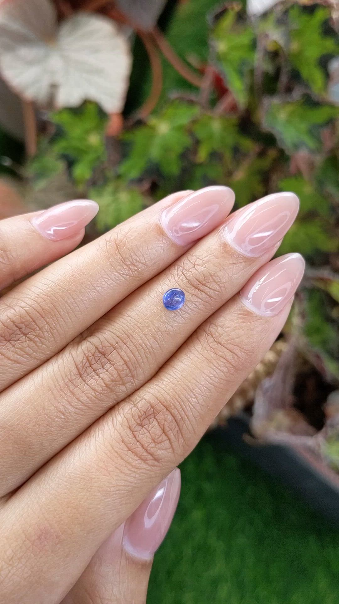 0.55 Ct. Blue Cabochon Sapphire from Ceylon (Sri Lanka) Size Video