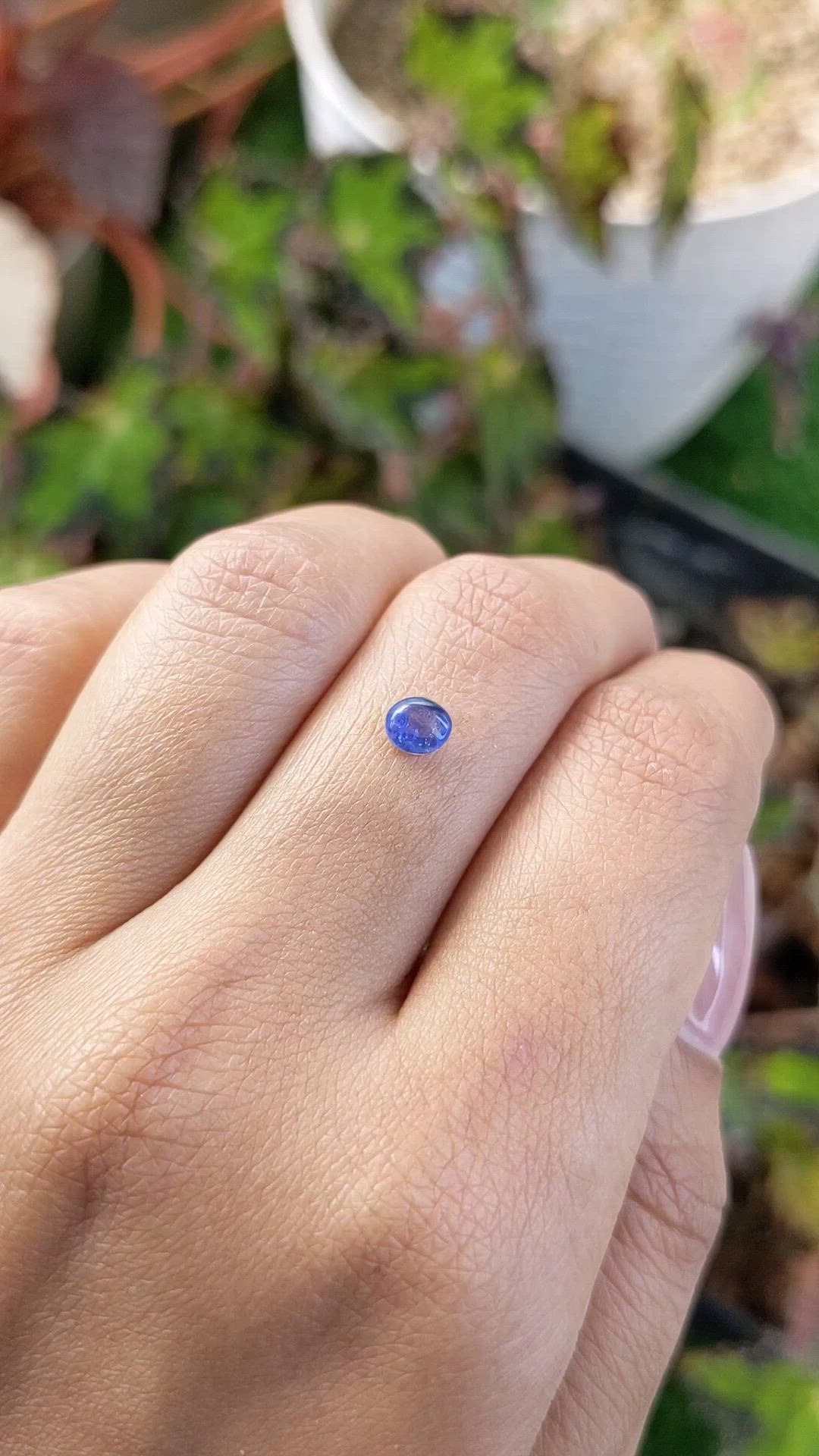 0.55 Ct. Blue Cabochon Sapphire from Ceylon (Sri Lanka) Size Video