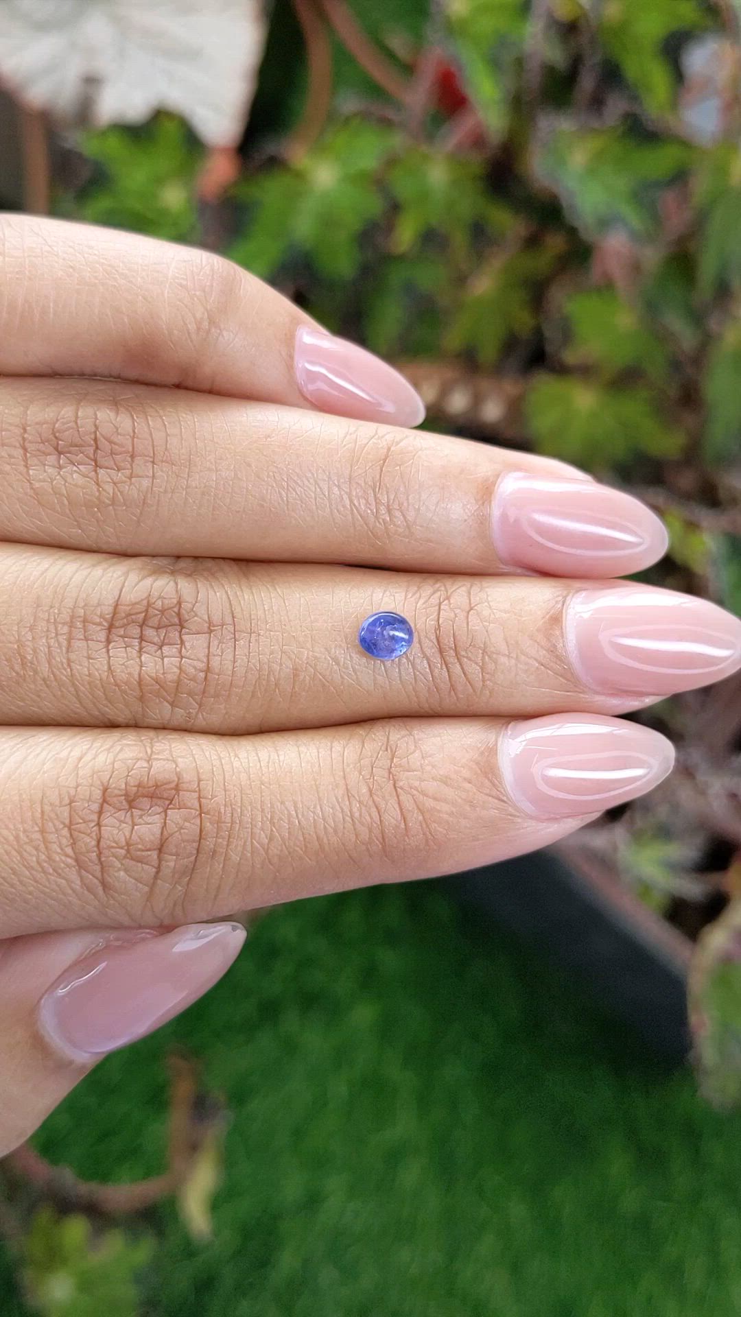 0.55 Ct. Blue Cabochon Sapphire from Ceylon (Sri Lanka) Size Video