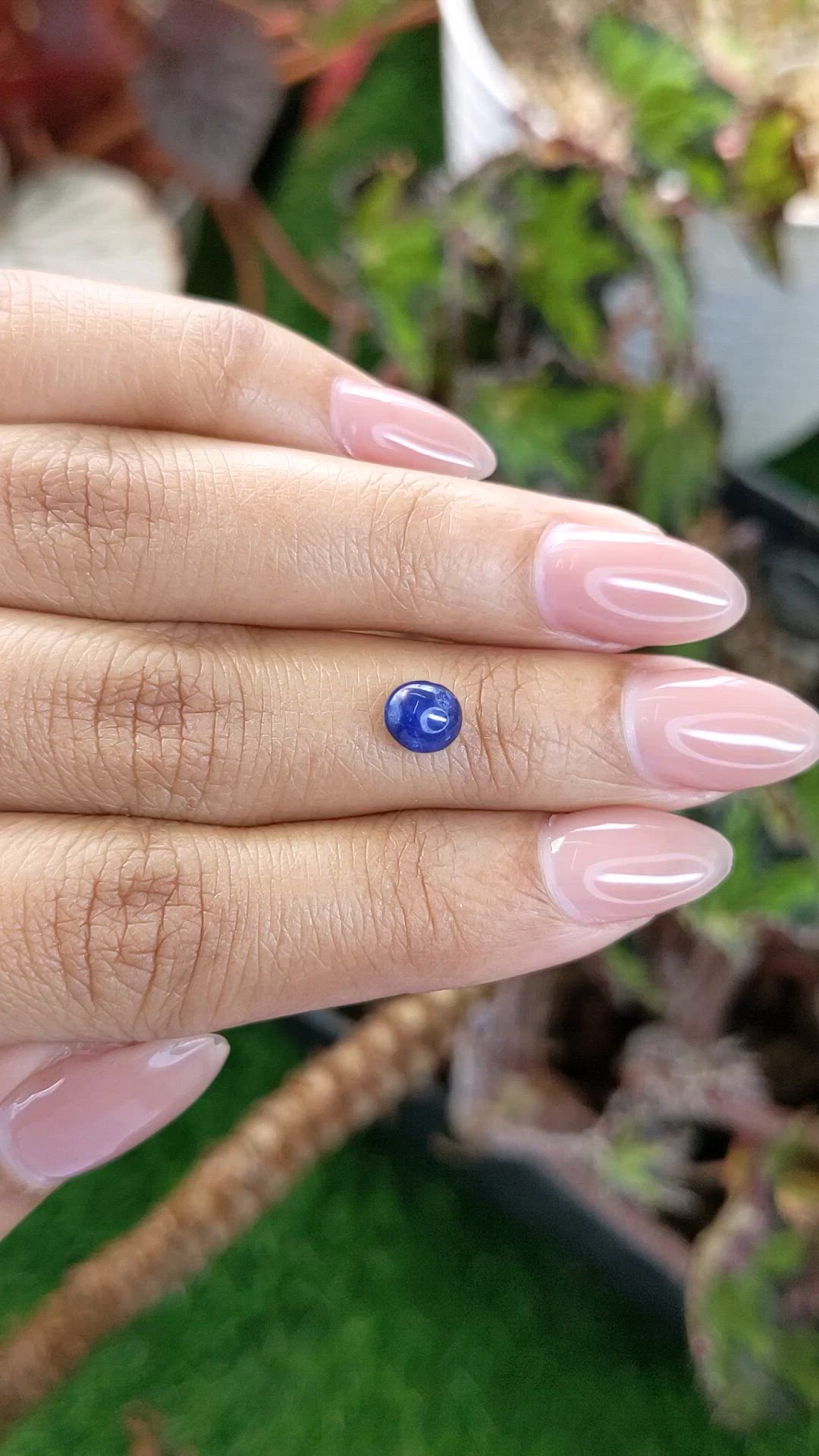 1.27 Ct. Blue Cabochon Sapphire from Ceylon (Sri Lanka) Size Video
