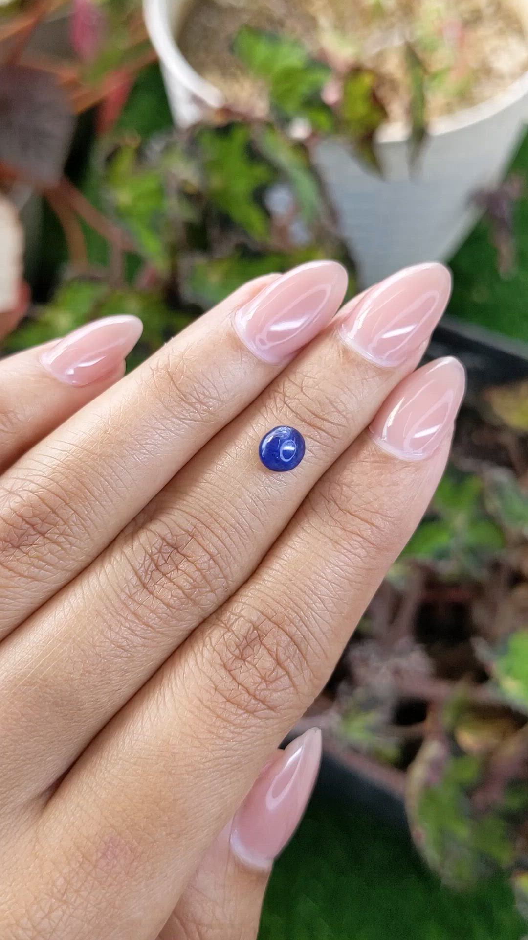 1.27 Ct. Blue Cabochon Sapphire from Ceylon (Sri Lanka) Size Video