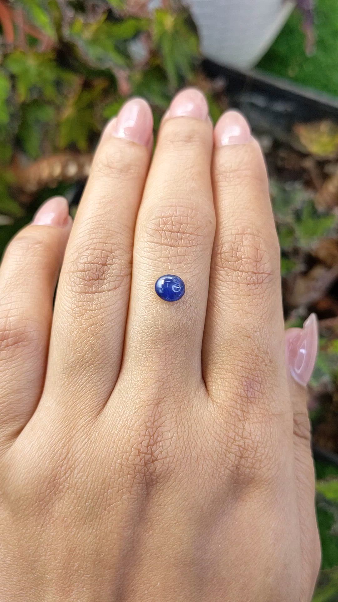 1.27 Ct. Blue Cabochon Sapphire from Ceylon (Sri Lanka) Size Video
