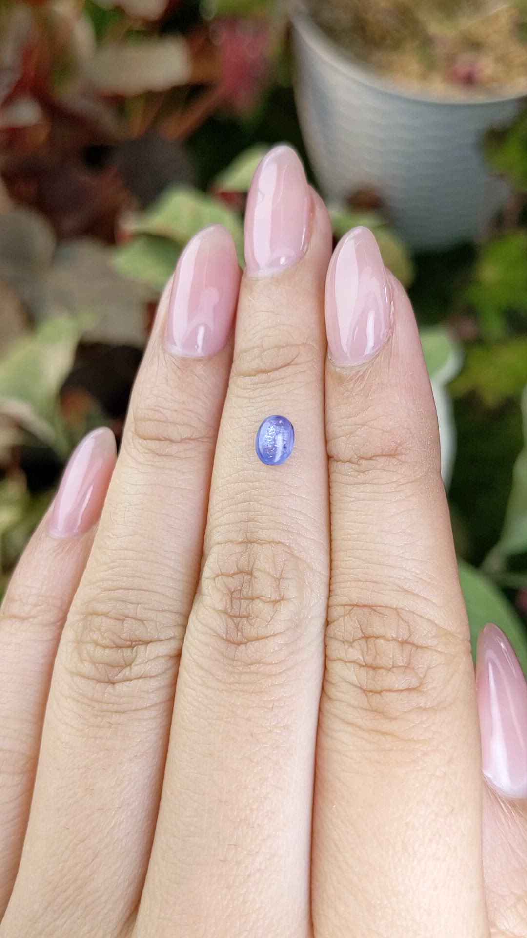 0.63 Ct. Blue Cabochon Sapphire from Ceylon (Sri Lanka) Size Video