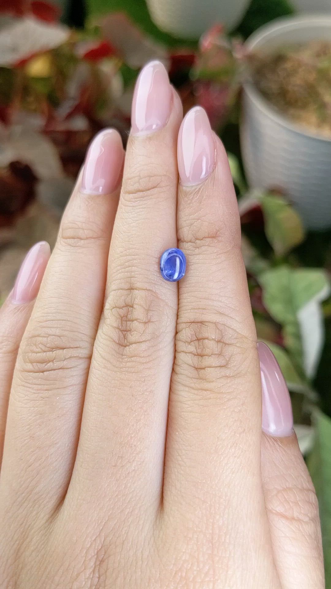 1.14 Ct. Blue Cabochon Sapphire from Ceylon (Sri Lanka) Size Video