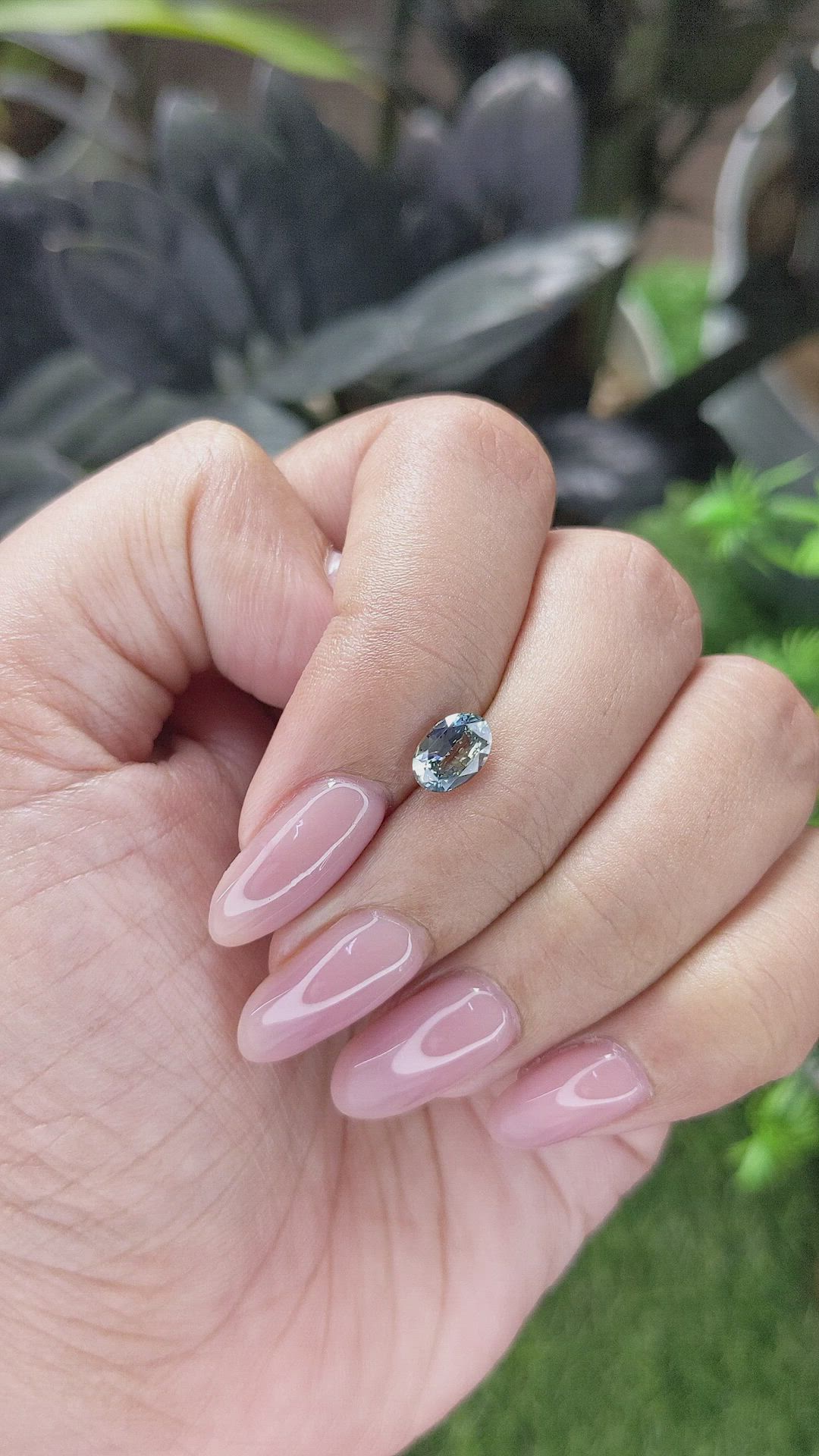 1.01 Ct. Bi Color / Parti Sapphire from Tanzania Size Video