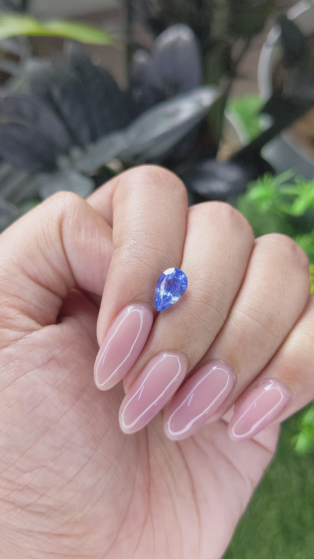1.86 Ct. Blue Sapphire from Ceylon (Sri Lanka) Size Video